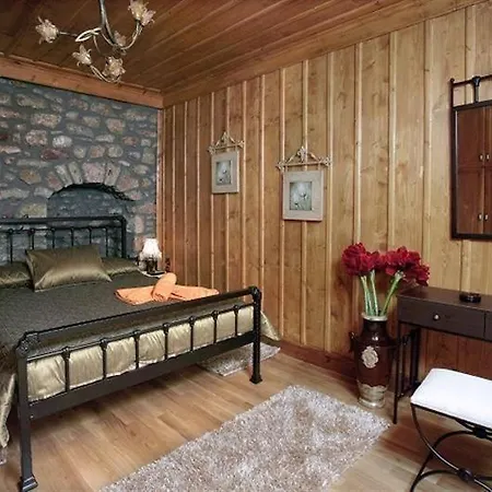 Despotikon - δεσποτικόν αντωνόπουλου 招待所 蒂米萨那