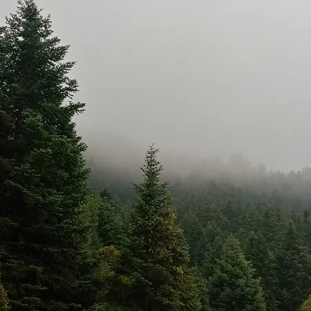 Despotikon - δεσποτικόν αντωνόπουλου Casa de hóspedes 3*