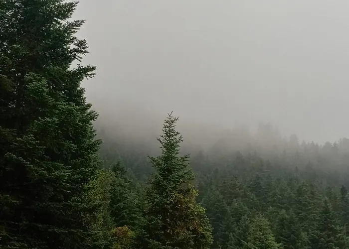 Despotikon - δεσποτικόν αντωνόπουλου Pensionat 3*